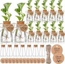 24 Pack 3.35'' Plastic Plant Propagation Stations with Hole Lid Planter Vase Cle
