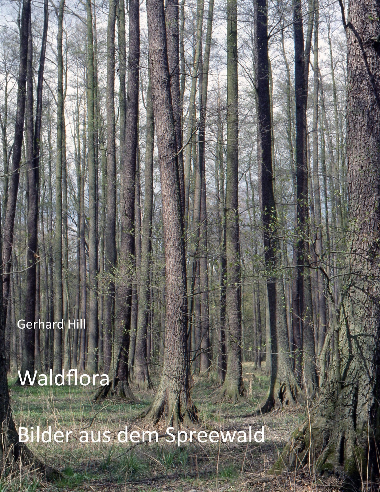 Thumbnail - Gerhard Hill | Waldflora | Taschenbuch | Deutsch (2015) | Paperback |