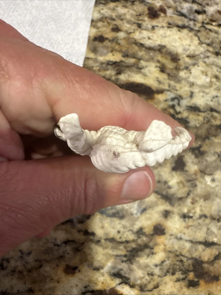 De colección Micro Máquinas Predator Alien Hunter Squadron Raro Difícil de Encontrar Figura Blanca 2" Foto 3 de 4