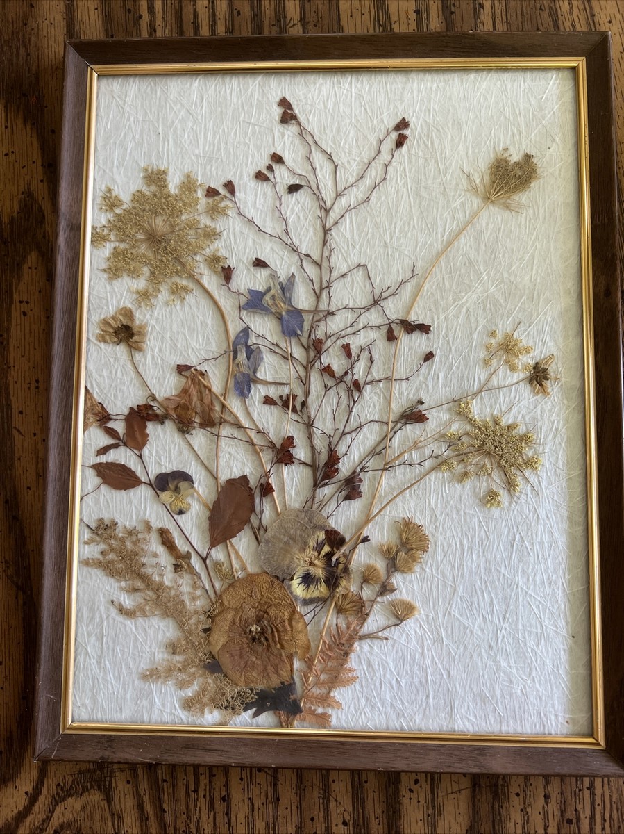 pantydropper × uncrowd Dry flower white pantydropper × uncrowd Dry