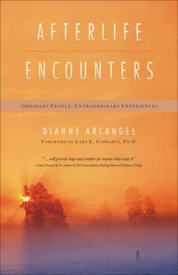 Afterlife Encounters: Ordinary People, Extraordinary Experiences - VERY GOOD