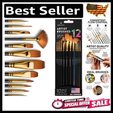 Professional Artist Paint Brush Set of 12 - Watercolor Painting Brushes Kit