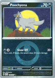 Poochyena 128/217 Reverse Holo Scarlet & Violet - Ascended Heroes