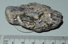 Cordierite - N.T (Australia)  Mineral specimen - 55x25mm  32g  #g1529