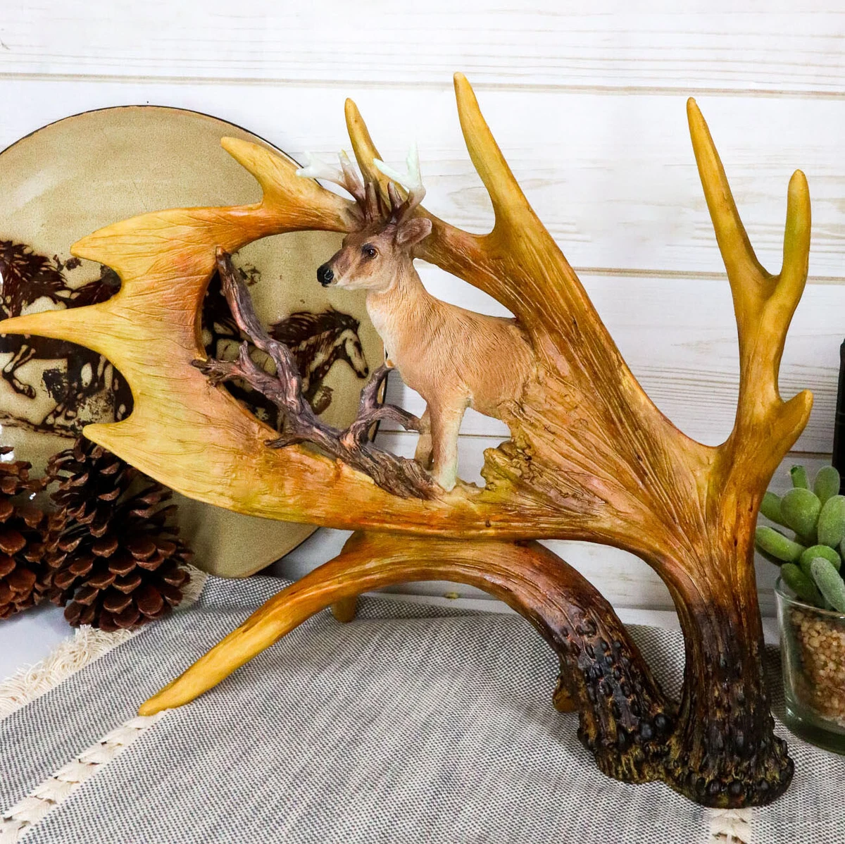 Moose antlers for sale deals