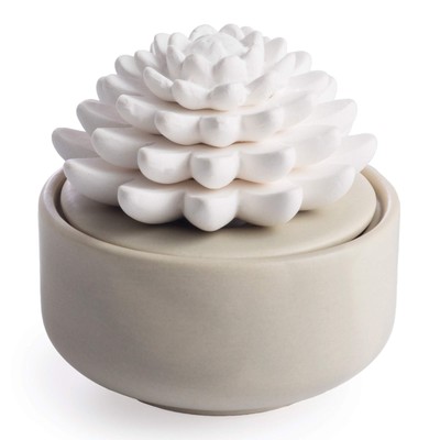 White Succulent Porcelain Passive Essential Oil Diffuser with 15ml Peppermint E