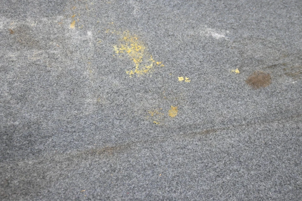 ⭐ 88-95 Bmw E34 Serie 5 Tapa Trasera Maletero Bota Escotilla Piso Alfombra Forro Cubierta Fabricante Original Foto 4 de 4