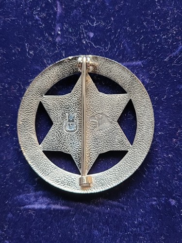 Obsolete Police Badge Abzeichen Sheriff Department Replikat Sammlerabzeichen - Bild 2 von 2