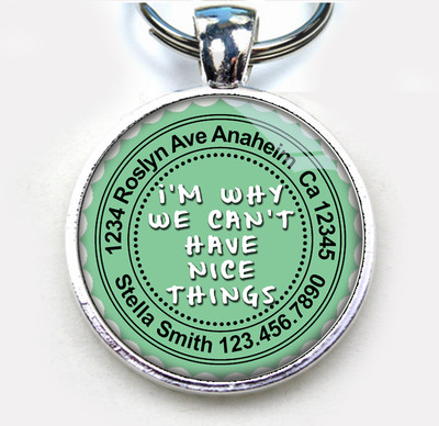 Why We Can't Have Nice Things ORANGE custom funny 11 colors pet dog cat tag id 