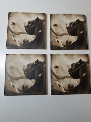 Horses on  Stone Coasters set of 4 Absorbs Moisture Ponies Equine Nature