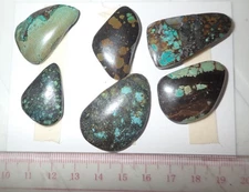 Turquoise Stone Flat Free Form Cabochon 170 Carat 6 pieces 34 gram