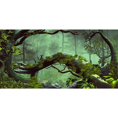 48x18 inches Foggy Forest Terrarium Background Stone Green Tree Tropical Rept...