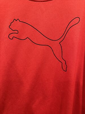 Puma Mens DRY CELL Regular Short Sleeve T-Shirt Red Size X-Large