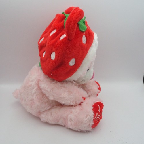 D1005C Tochigi Straw Bear Pink Strawberry Fujisey 9" Plush Toy Doll Japan - 第 8/12 張圖片