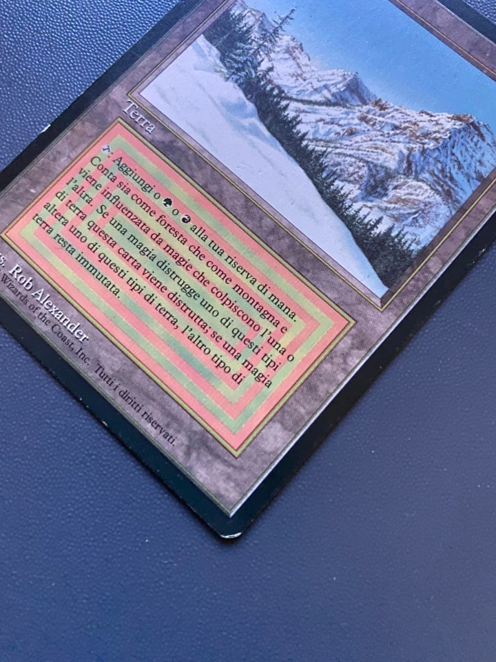 MTG Taiga Foreign Revised Italian Edition - Image 2 of 4