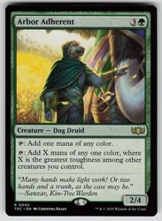 Arbor Adherent - Commander: Tarkir: Dragonstorm