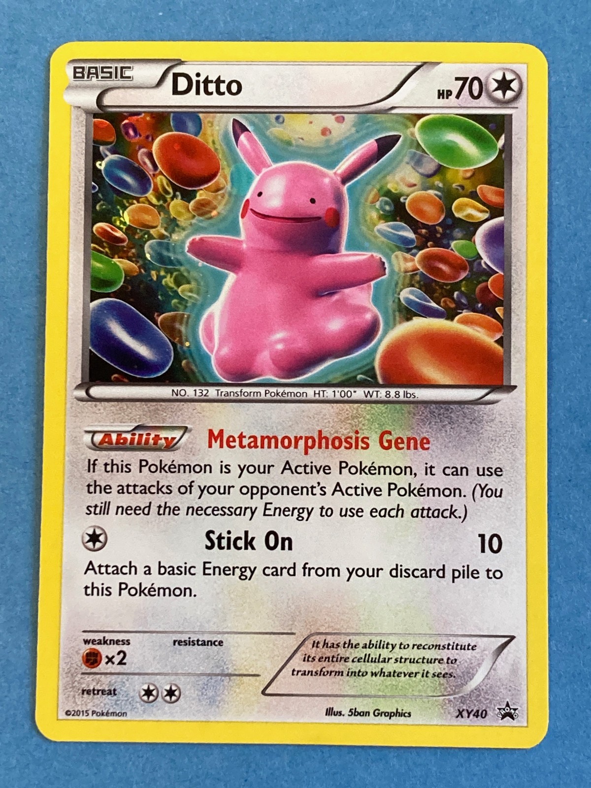 Pokemon Holo Black Star Promo Ditto- XY40 – NM-
