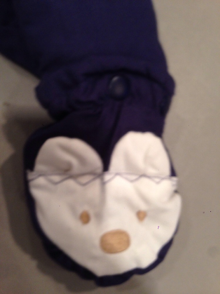 Picture 11 of 12