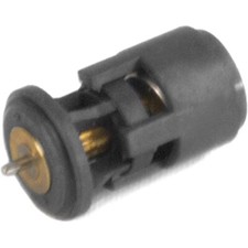 Thermostat Audi A2
