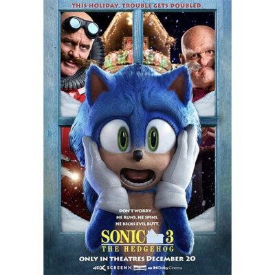 Sonic the Hedgehog 3 Movie Poster Art High Quality 4x6 8x10 11x17 13x19