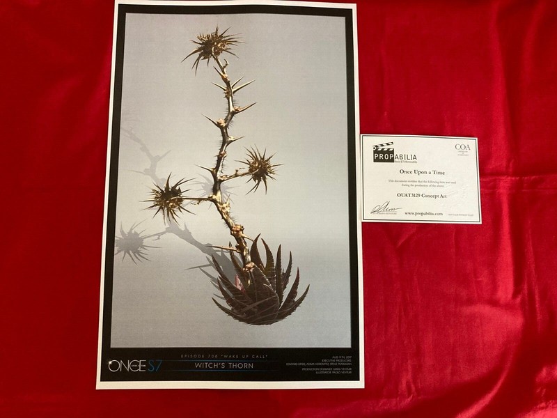 ONE OF A KIND Disney Once Upon A Time "Witch's Thorn" Concept Art Prop WITH COA
