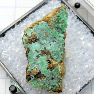 20219 TN Conichalcite