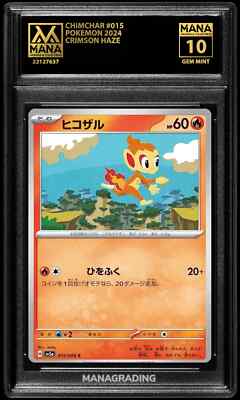 即日発送可 キハダ SAR PSA10 キハダSAR】買取・販売相場や価格推移/最新の