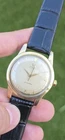 Vintage 1954 Omega Seamaster Automat Bumper 2494 Cal 354 Men's 36mm Swiss Watch