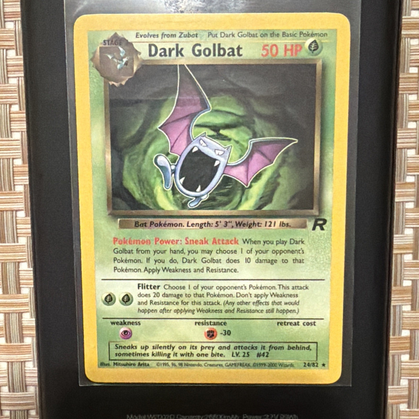 Pokémon TCG Pokemon Team Rocket Dark Golbat 24/82 Non-Holo Rare NM