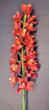 Artificial Cymbidium Orchid stem ORANGE RUST