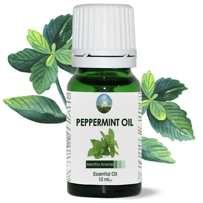 Ätherisches Pfefferminzöl - Mentha Arvensis - von NPOW™