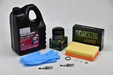 Service kit BMW R1250GS, R1250GSA, R1250R, R1250RT, R1250RS with oil