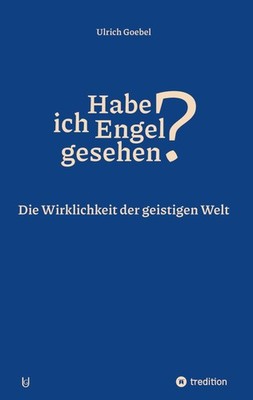 Habe ich Engel gesehen? Übersinnliche Wahrnehmungen - Blicke ins Jenseits Ulrich
