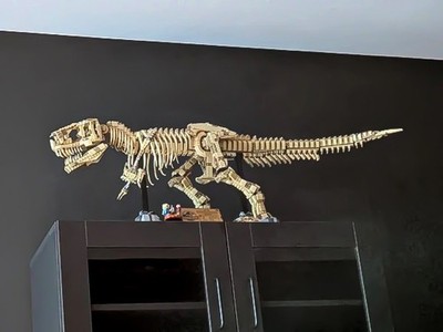 Dinosaur T-Rex Fossil Building Set, Dinosaurs, Educational Buildings, DYI