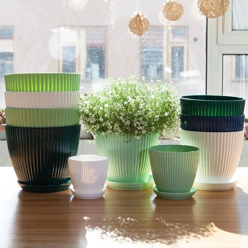 Plant pot indoor display