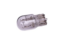 Genuine General Motors OE Bulb 13584304