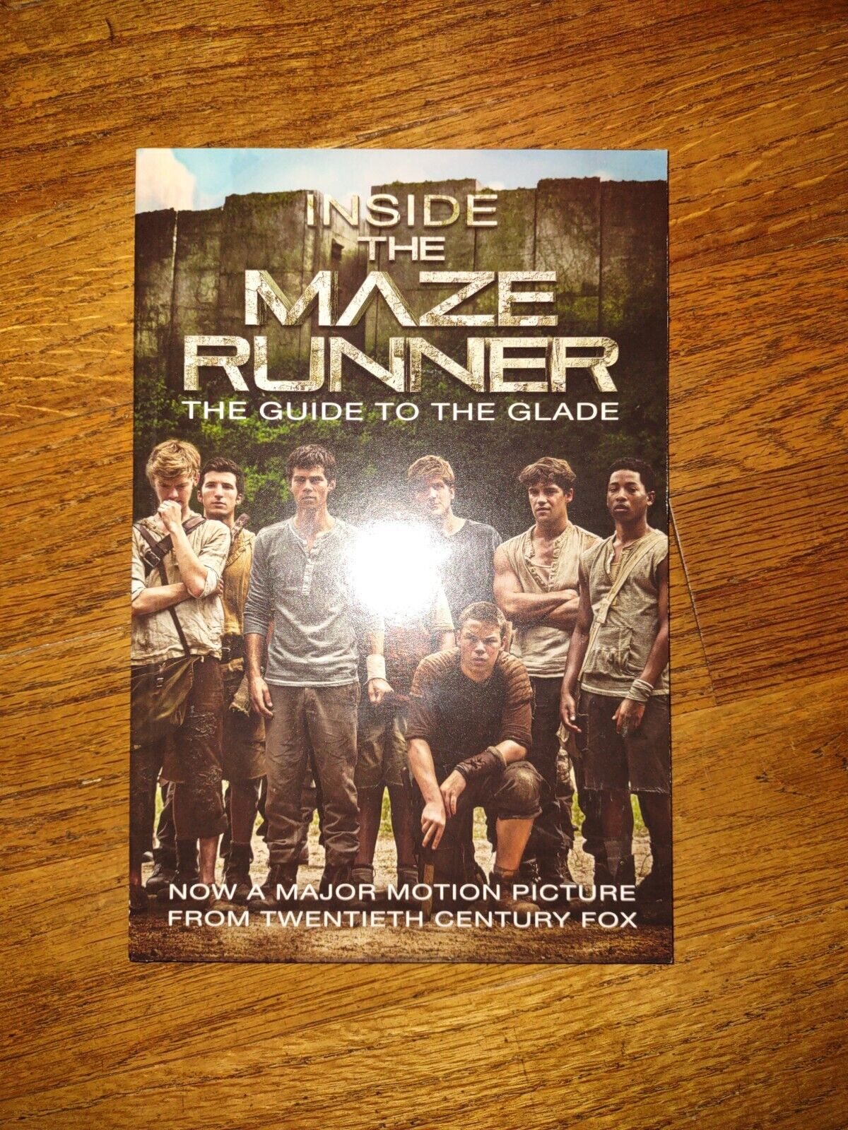 Inside the Maze Runner: The Guide to the Glade