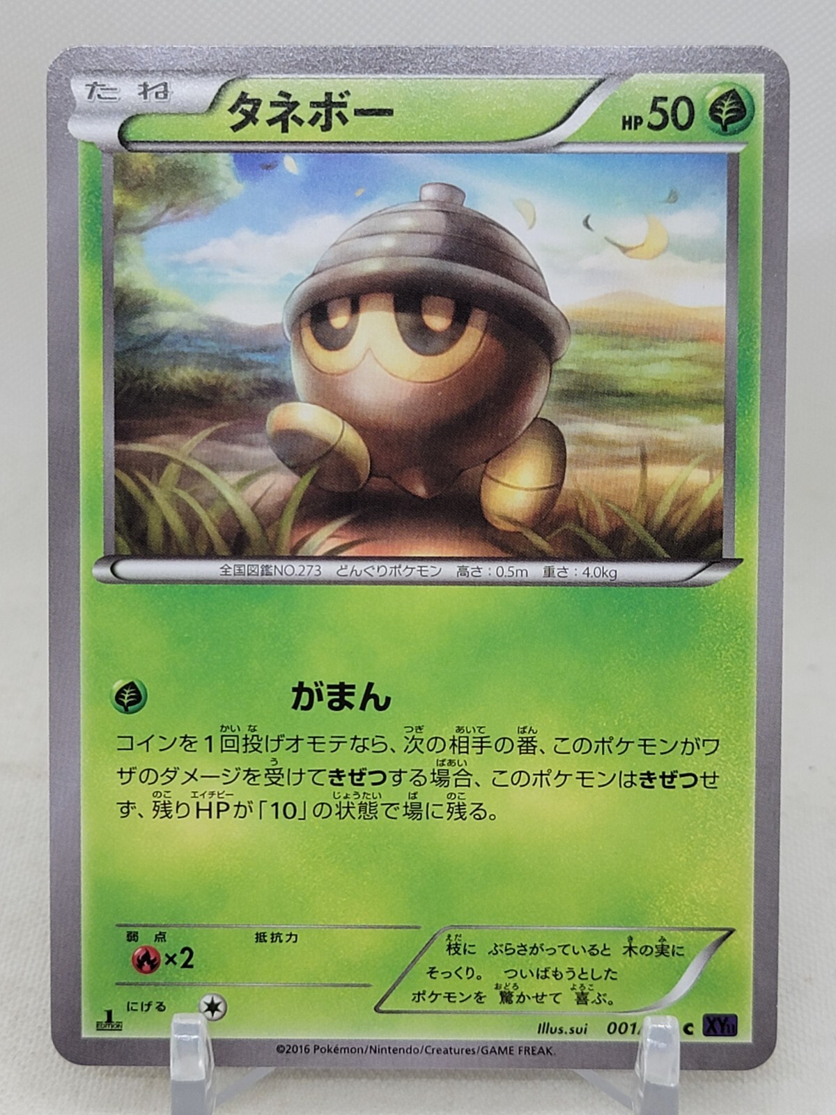 Seedot 1/54 1st ED XY11 Explosive Warrior Japanese Pokemon Card