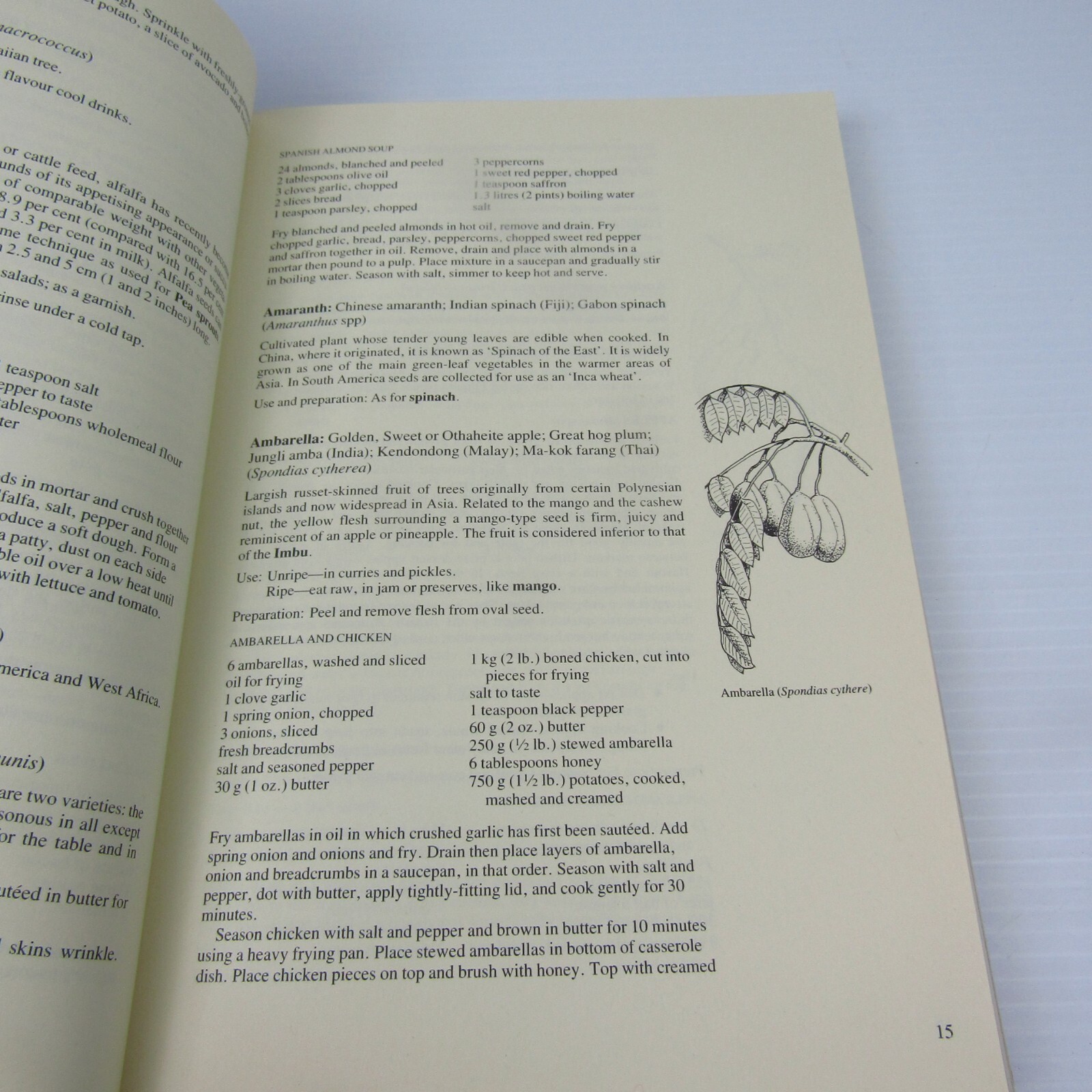 Fruit And Vegetables of the World by John Goode & Carol Willson Hardcover Recipe