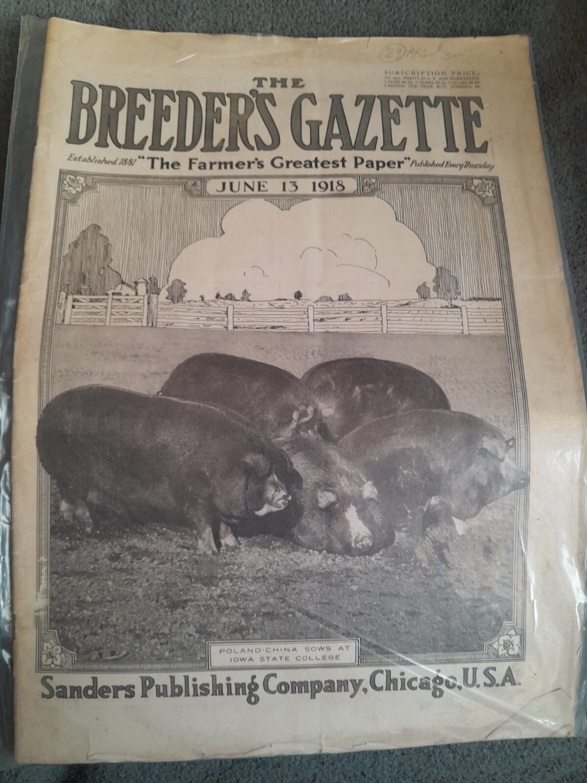 Antique The Breeder's Gazette Magazine Sanders Publishing Co Chicago June 1915