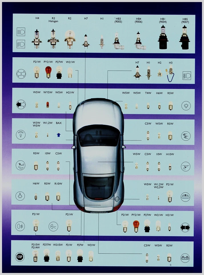 200 St.PROFI Werkstatt Set  KFZ Beleuchtung Birne Autolampen Glühlampen LONGLIFE - Bild 3 von 4