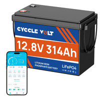 Lifepo4 300Ah Akku Lithium Batterie 12V 314Ah BMS 200A 15000+Zyklus Kran Boot