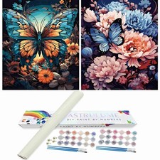 2 Pack Paint by Numbers Kit for Adults Beginners, Color by Numbers for Adults...