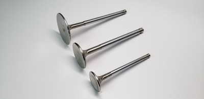 Ferrea For BMW S55 32mm Intake Valves Set Of 12 - Model F2429P