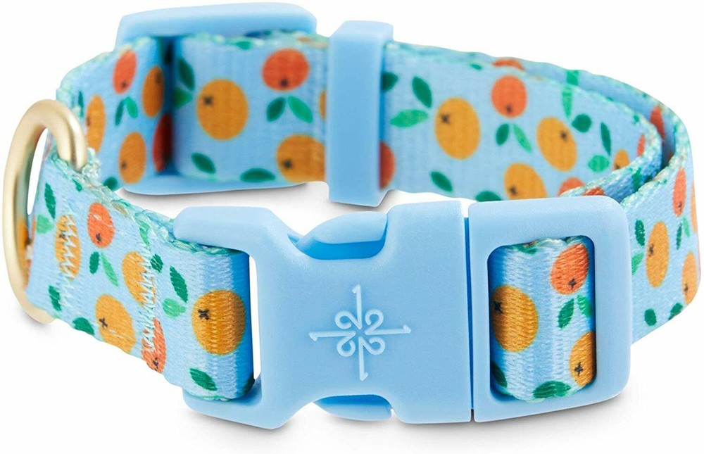 Good2Go Ripe Orange Dog Collar, Large By: Good2Go