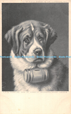 R475681 C W Faulkner Löwe Krankenhaushund aus Kork Bernhardiner rauhaarig