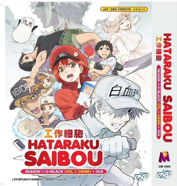 HATARAKU SAIBOU : KAZE SHOUKOUGUN - COMPLETE ANIME MOVIE DVD BOX SET:  : DVD & Blu-ray