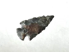 INCREDIBLE RIVERTON CULTURE ARCHAIC BIRD POINT ARROWHEAD FROM KENTUCKY