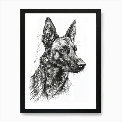 Deutscher Schäferhund Linienzeichnung Sk gerahmtes Wandbild Poster Leinwanddruck Bild