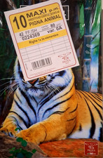 10 Quaderni A4 Fantasie Assortite Animali Rigatura A Fogli 42 Da 80 Gr Pigna